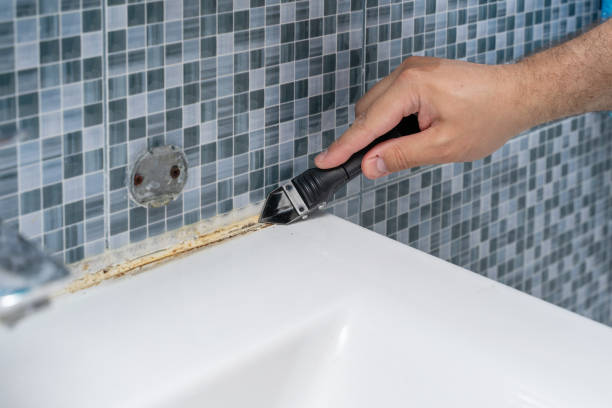 Home Mold Removal in Gainesville, FL